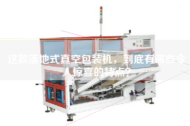 這款落地式真空包裝機(jī)，到底有哪些令人驚喜的特點(diǎn)？