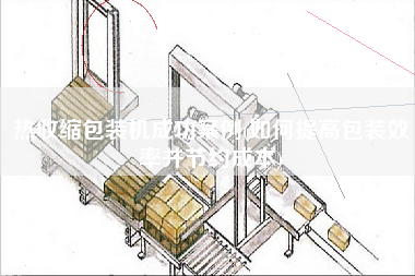 熱收縮包裝機成功案例(如何提高包裝效率并節約成本)