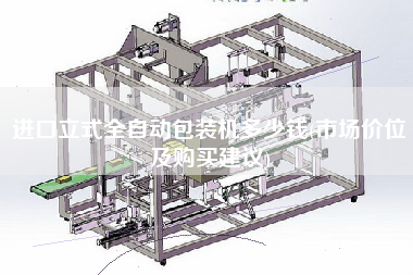 進口立式全自動包裝機多少錢(市場價位及X建議)