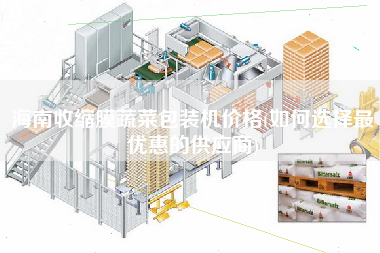 海南收縮膜蔬菜包裝機(jī)價(jià)格(如何選擇z優(yōu)惠的供應(yīng)商)