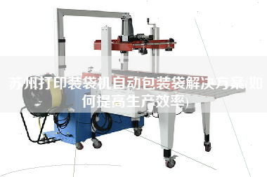 蘇州打印裝袋機自動包裝袋解決方案(如何提高生產效率)