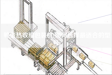 鴨蛋熱收縮包裝機(如何選擇z適合的型號)